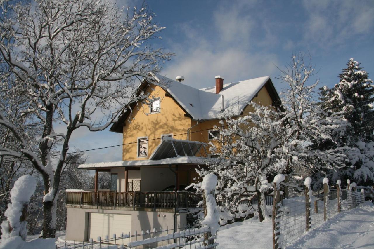 Апартаменты Alte Volksschule - Schual In Gradne Liebenfels Экстерьер фото