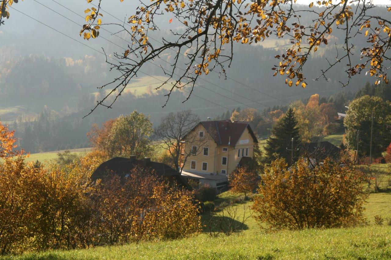 Апартаменты Alte Volksschule - Schual In Gradne Liebenfels Экстерьер фото